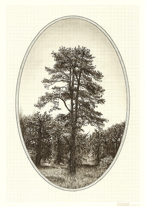 Family Tree X, graphite on graph paper, 29.7 x 21cm, 2013